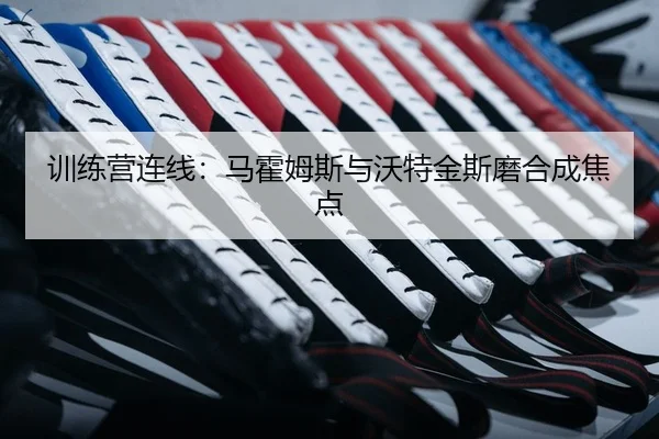 训练营连线：马霍姆斯与沃特金斯磨合成焦点